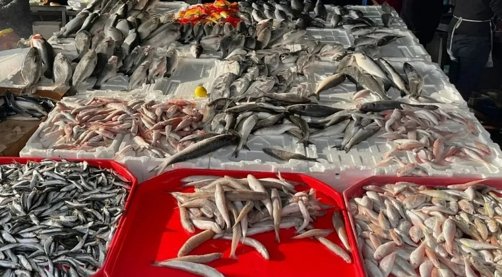 fiyati dusunce talep artti Qmq6Pe4G