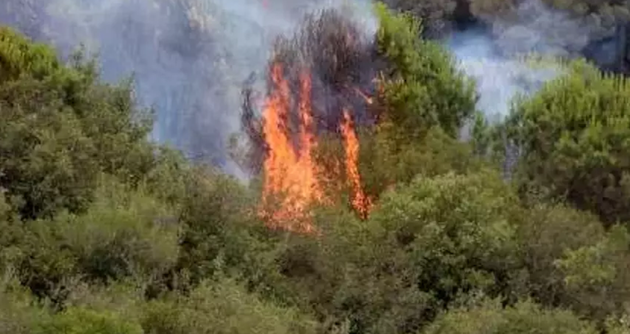 istanbulda yangin panigi cok sayida ekip sevk edildi U6ZcyaYZ