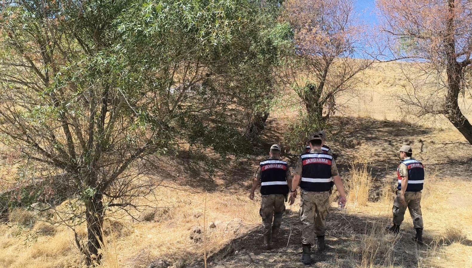 siirtte kayip alzheimer hastasi 9 gundur araniyor c99snwka