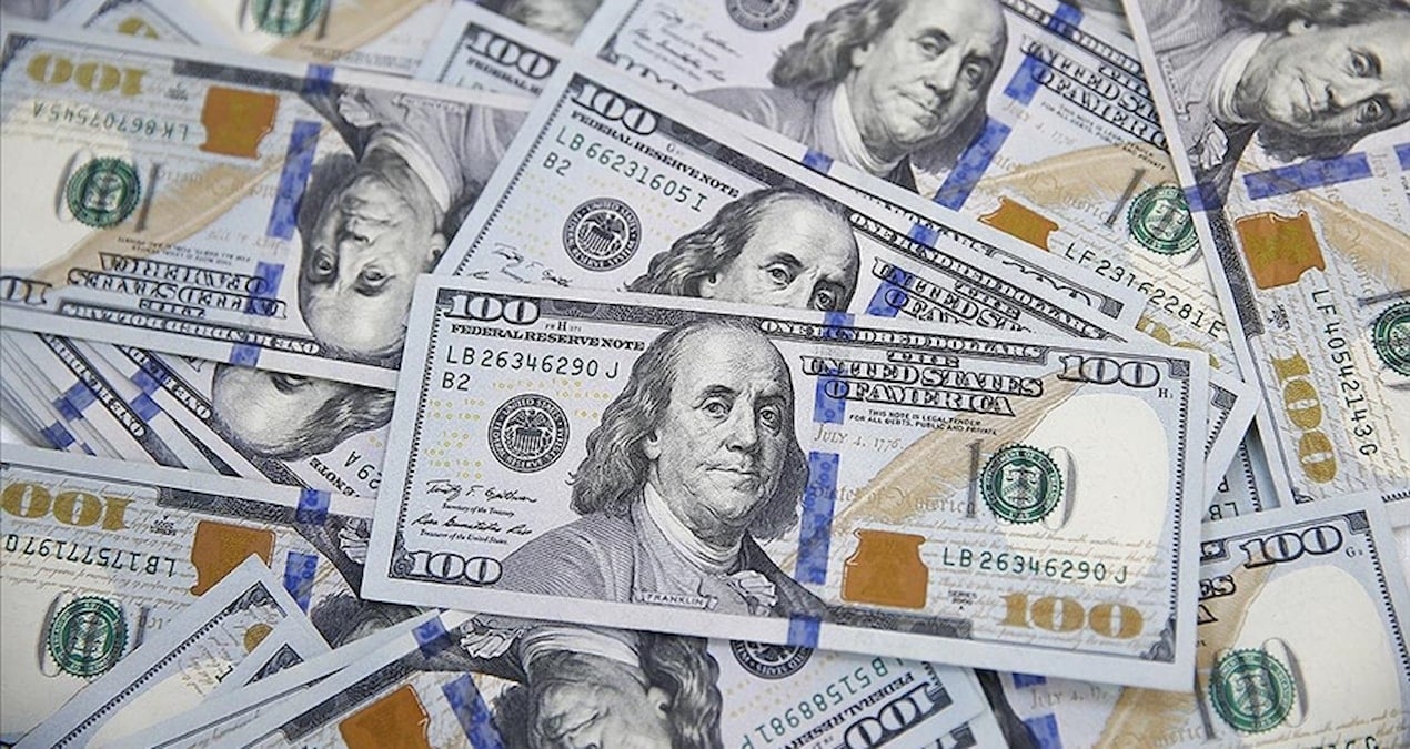 merkez bankasi rezervlerinde 19 milyar dolarlik dusus XMLzTE32.jpg