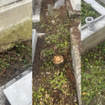 atlas-featured-8416-1775581566-865gel