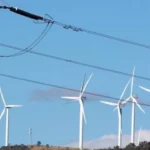Haber gorseli